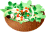 ���r�S�b�g�T���_