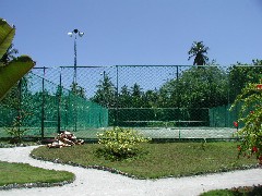 テニスコート＠パラダイスクラブ