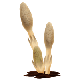 sprin014_s.gif