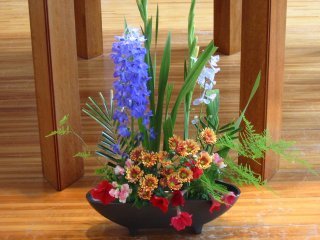 hana030608.jpg