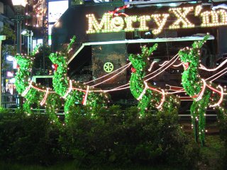 Img_1464_s.jpg