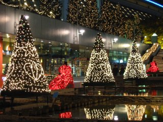 Img_1483_s.jpg