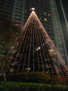 Img_1486_s.jpg