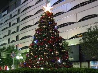 Img_1503_s.jpg