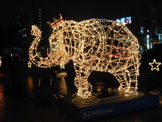 Img_1544_s.jpg