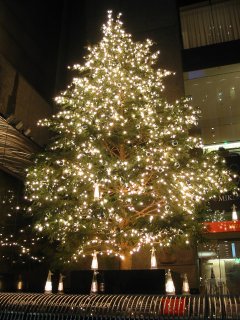 Img_1559_s.jpg