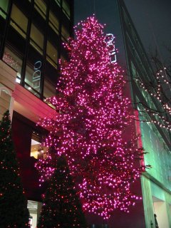 Img_1571_s.jpg