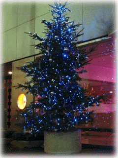 Img_1572_s.gif