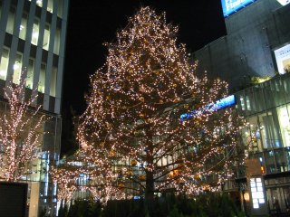 Img_1594_s.jpg