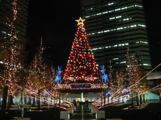 Img_1701_s.jpg