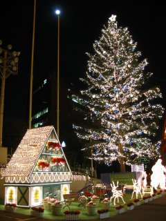 Img_1733_s.jpg