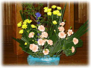 Img_2973_s.GIF