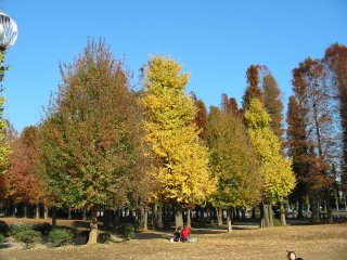 Img_3503_s.jpg