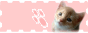 hanzo's famry CATTOWN サマヘ