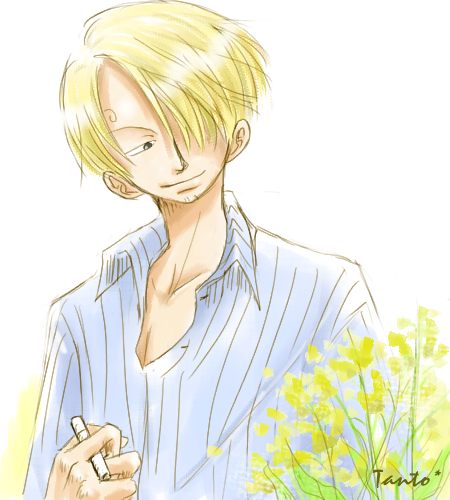 sanji-in-spring-3.jpg