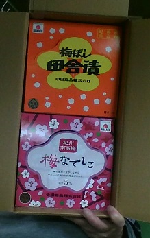 umebosi.jpg