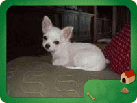 �t���[��