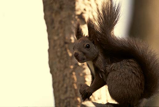 �t�b�ƁA������������āE�E�E�����v���́H