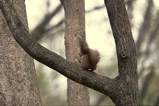 ���p���v���e�B�H(^^)