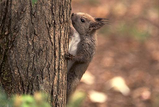 �N���N���N���E�E�E�������邼�I