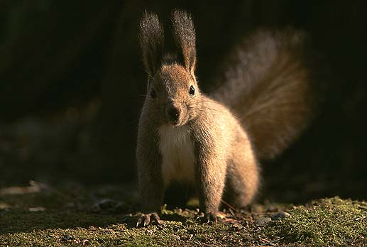 �h�A�b�v�I�@�h�L�h�L�ł��B