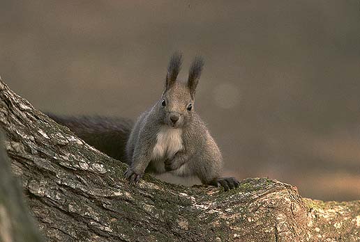 �ǂ������I�@�ǂ������I