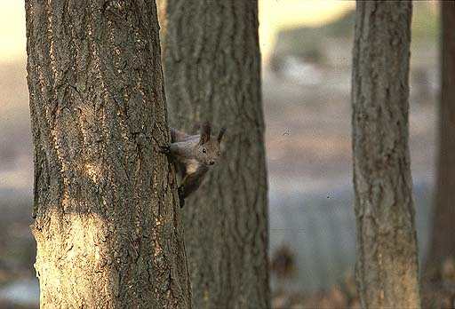 �ڕW�m�F�I�@�����W�����v�I