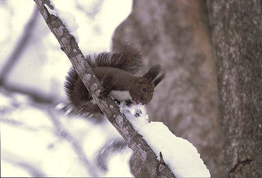 �A���������`�I�@���������`�I