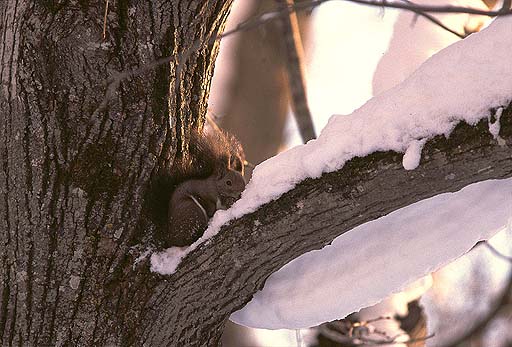 �q�B�B�B�B�`�B�|����`(>_<)�@�u���v�����āB�����e���͂��Ȃ���v�v