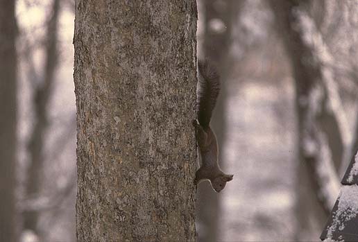 �Y�C�Y�C�b�E�E�E