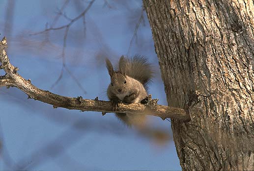 �N�����H�N�B�H�@�H�ɗ����l�B�H