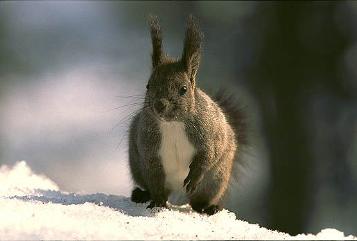 ���̎����̐�͍d���ł�����B