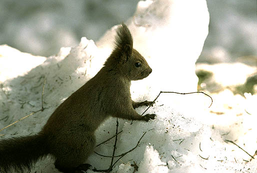 �G�w���@�B�C��t����I