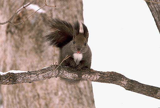 ���g�A���ꂢ�H