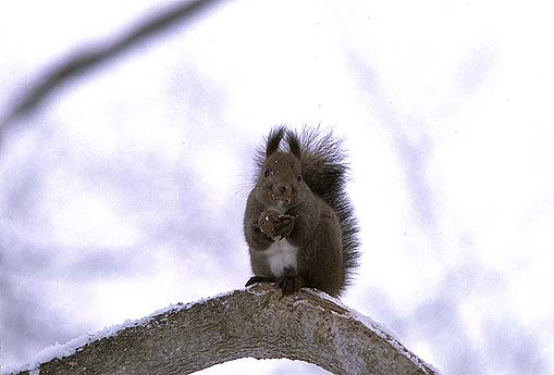 �����ւ�I