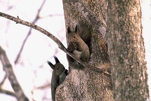 �����`����