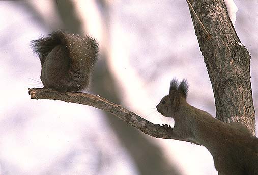 �܂��܂��A�����`����