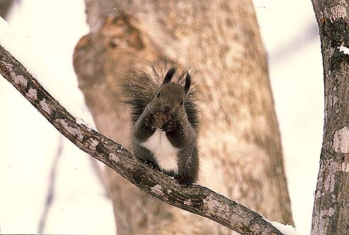 �N���~��D���I