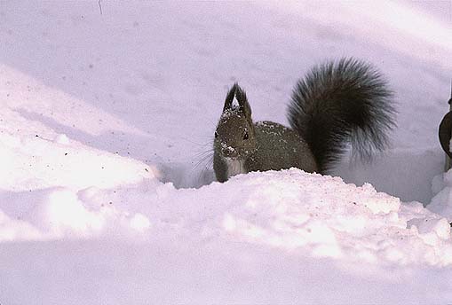 ���̕ӂɖ��܂��Ă�͂��I