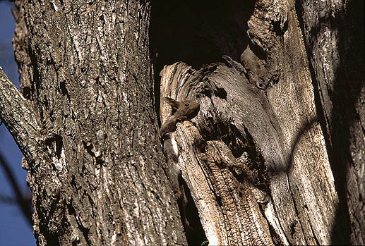 ���^���^�E�E�E�O�̐��E���Ăǂ�Ȃ��낤�H