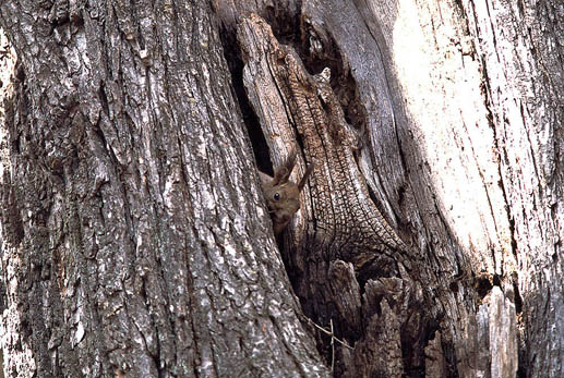 ����Ɋ댯�͂Ȃ����ȁH