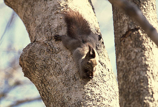 ���ꂪ�I���̃x�X�g�|�W�V���������I