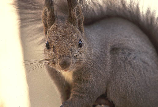 ���A�b�v�I�@�h�L�b�I