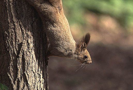 ������x�����Ȃ���؂��~��܂��B