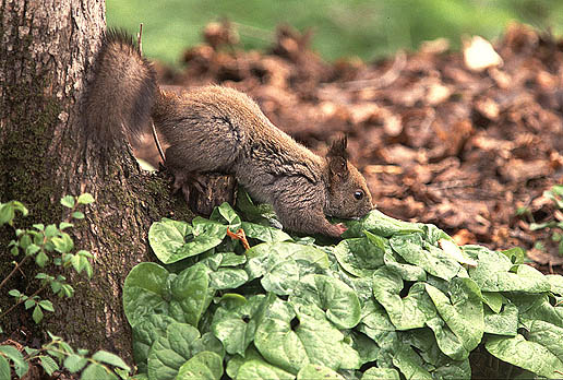 �y���y���E�E�E���ׂ��������H