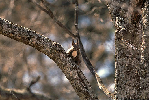 �C�����̗ǂ����V�C�ł��B