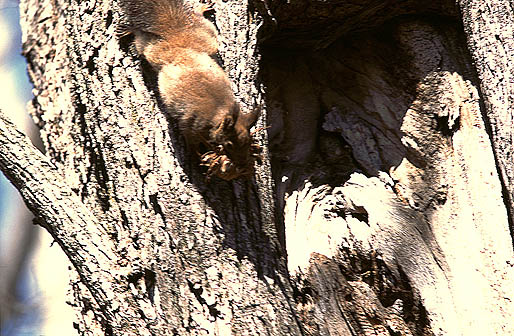 �x�b�h�������Ȃ���I