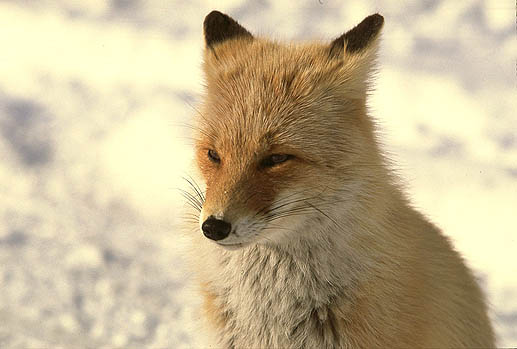 �܂������₽���ł��B