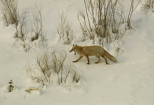 �������`�`