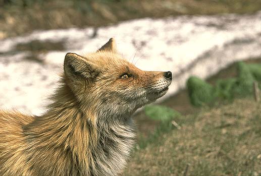 �����󂢂���`�I�@���̎����A�a�͏��Ȃ��̂ł��傤���H